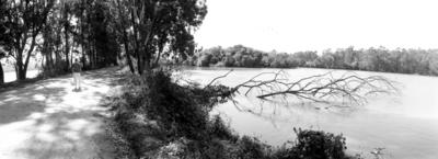 Parque Ecológico do Tietê