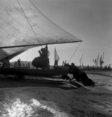 Jangadas e jangadeiros