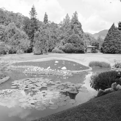 Residência de Carlos Somlo, projeto paisagístico de Burle Marx