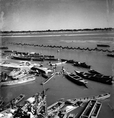 Cena do Rio São Francisco