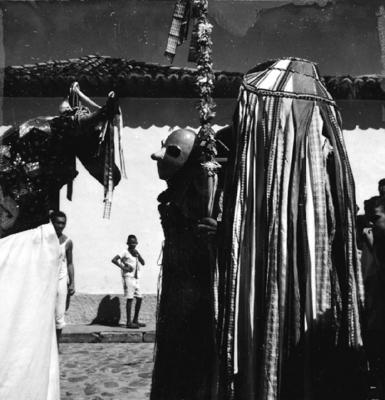 Bumba meu boi, festa popular