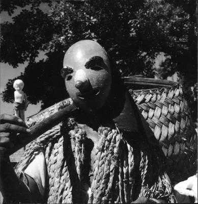 Bumba meu boi, festa popular