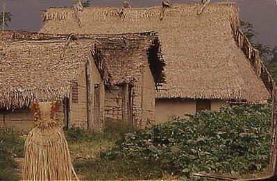 Série Xingu - Aldeia xinguana