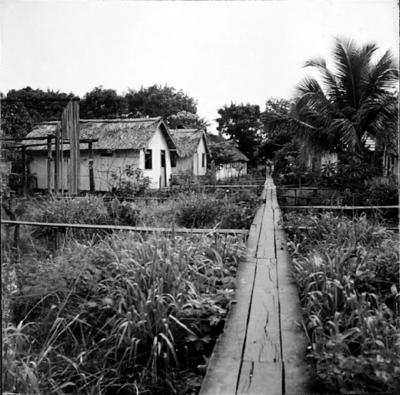 Vila da Barca, palafitas flutuantes