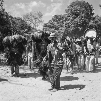 Bumba meu boi, festa popular