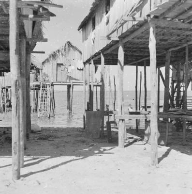 Palafitas flutuantes