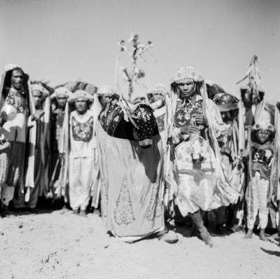 Bumba meu boi, festa popular