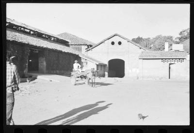 Em busca de fazendas para locacações do filme Os Herdeiros, de Cacá Diegues