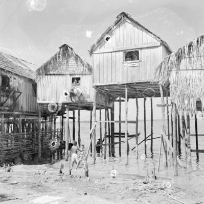 Palafitas flutuantes