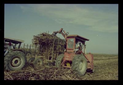 Produção de filme institucional sobre usinas de açúcar