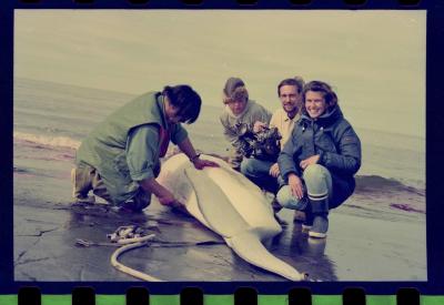 Viagem com a bióloga Livia Monami para registrar a caça da baleia branca