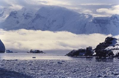 Aventuras de Igor na Antártida