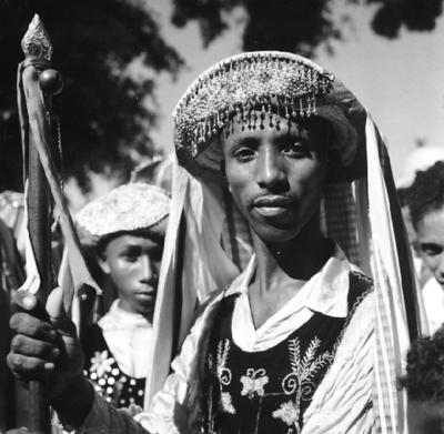 Bumba meu boi, festa popular