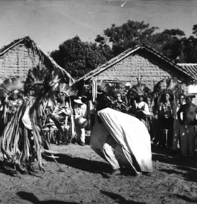 Bumba meu boi, festa popular