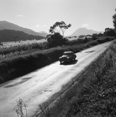 Estrada para o Sítio Burle Marx