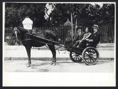 Hilda e José Francisco de Freitas