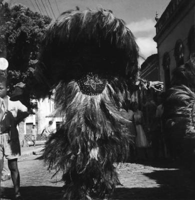 Bumba meu boi, festa popular