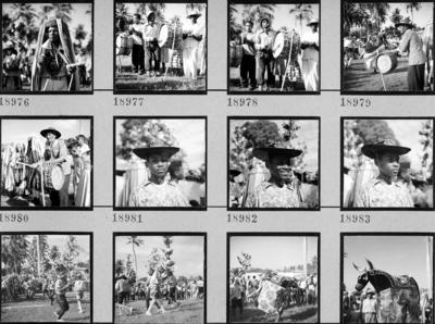 Bumba meu boi, festa popular