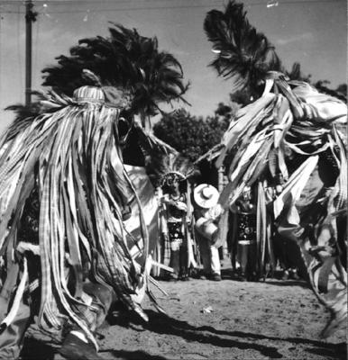 Bumba meu boi, festa popular
