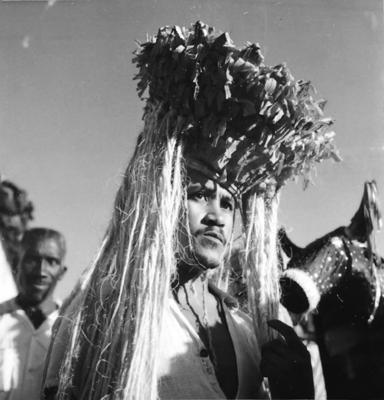 Bumba meu boi, festa popular