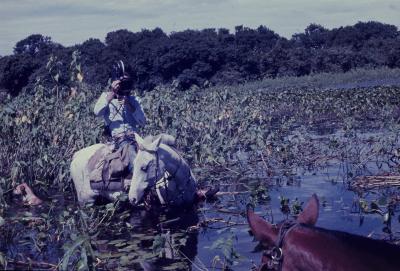 Jorge Bodanzky filmando no pantanal