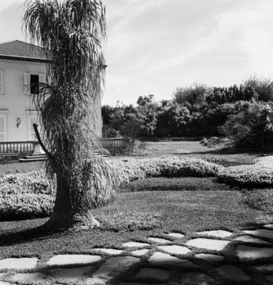 Paisagismo de Burle Marx em residência de Minas Gerais