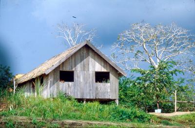 Série Amazonas - Casa