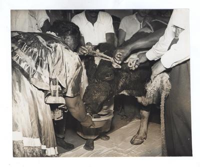 Religião afro-brasileira