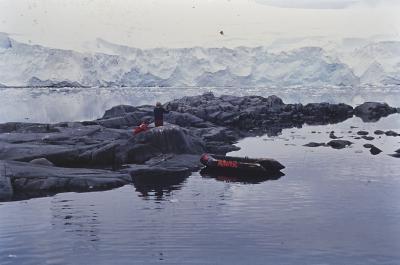 Aventuras de Igor na Antártida