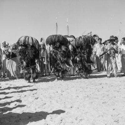 Bumba meu boi, festa popular