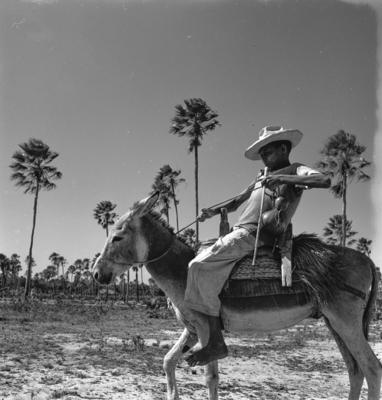 Carnaúba, homem montado em jegue