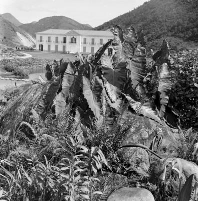 Residência de Odette Monteiro, projeto do arquiteto Wladimir Alves de Souza e Burle Marx