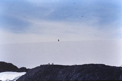 Aventuras de Igor na Antártida