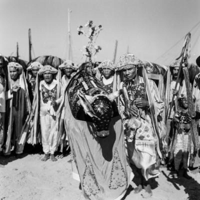 Bumba meu boi, festa popular