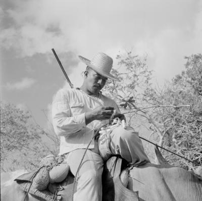 Vaqueiro - Ilha Mexiana