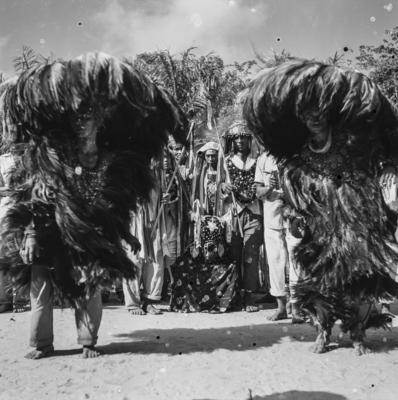 Bumba meu boi, festa popular