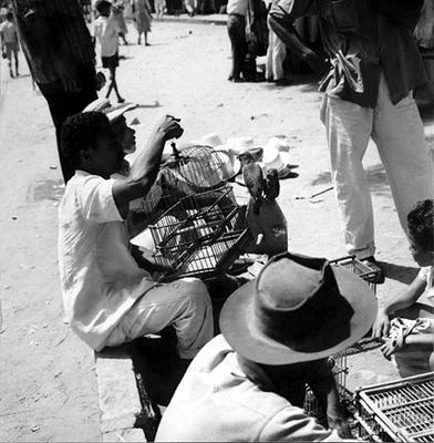 Feira dos Passarinhos
