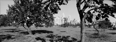 Praça Cívica Ulisses Guimarães