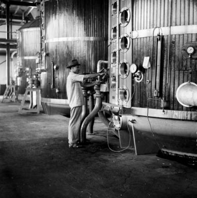 Usina Central Barreiros