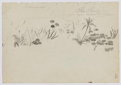 Rio Pardo cujas águas descem do Paraiso