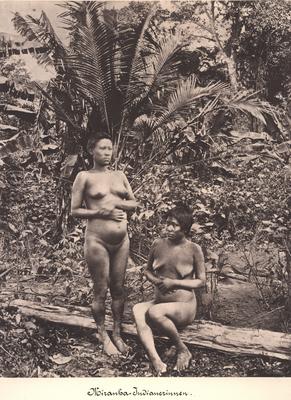 Mulheres indígenas do povo Miranha na região do Alto Japurá