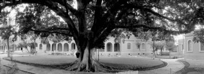 Memorial do Imigrante