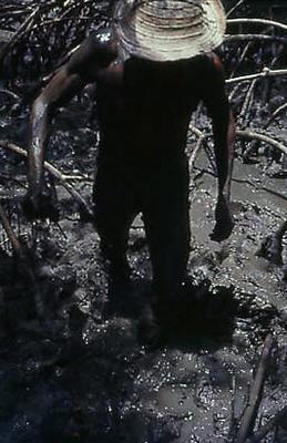 Série Caranguejeiras - Catador de caranguejo