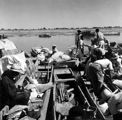 Cena do Rio São Francisco