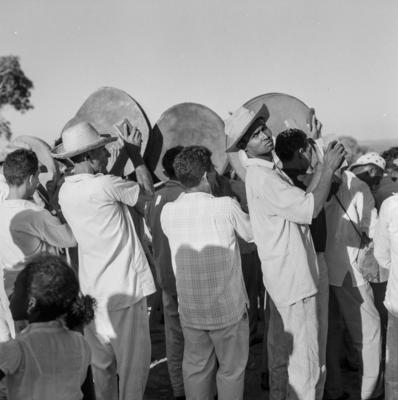 Bumba meu boi, festa popular