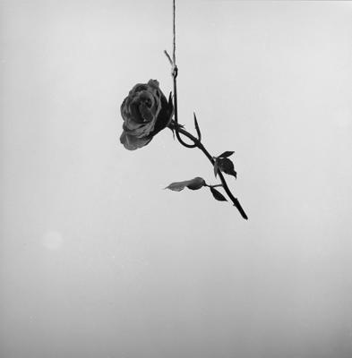 Campanha do Grupo de Criação Publicitária para o perfume Rosa da Bozzano