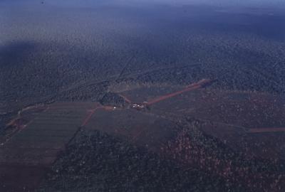 Vista aérea para floresta