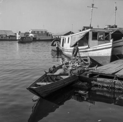 Palafitas flutuantes