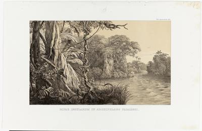 (As margens das ilhas do arquipélago paraense)