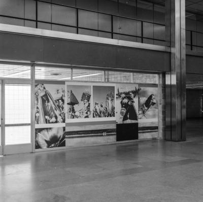 Banco do Brasil, painel com fotografias de Marcel Gautherot